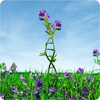 How Vitamin B12 Supports Brain Function and Reduces Fatigue